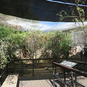 Eagle Canyon Aviary
