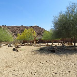 Mixed Desert Yard