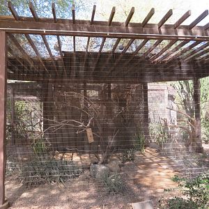 Small African Aviary