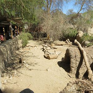 Sulcata Tortoise Yard