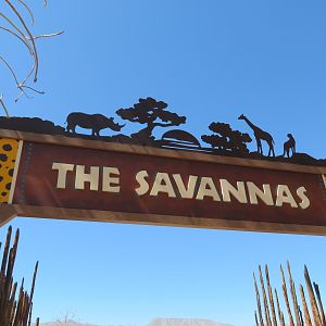 The Savannas Sign