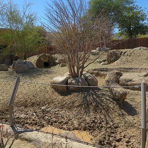 Warthog Exhibit
