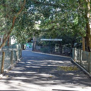 General View of Aviary