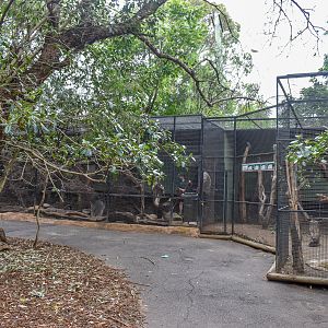 Entrance Aviaries