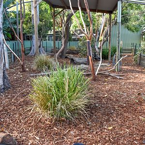 Koala/Pademelon Enclosure