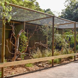 New Owl Aviaries