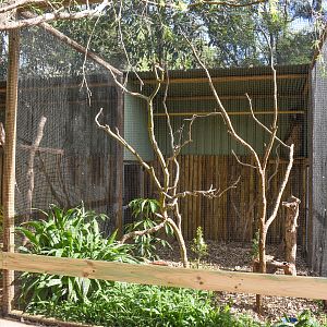 New Owl Aviaries