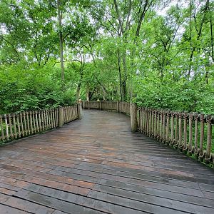 Nashville Zoo 5/22 - Path