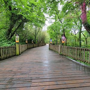 Nashville Zoo 5/22 - Path
