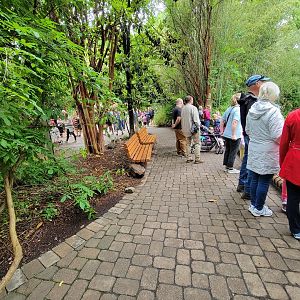 Nashville Zoo 5/22 - Onslaught of people coming in after ticketing opened