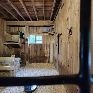 Nashville Zoo 5/22 - Grassmere Plantation barn, Barn owl