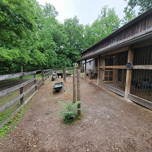 Nashville Zoo 5/22 - Grassmere Plantation farm, donkeys and ponies