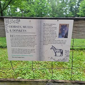Nashville Zoo 5/22 - Grassmere Plantation farm, signage example
