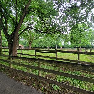 Nashville Zoo 5/22 - Grassmere Plantation farm, horse paddock