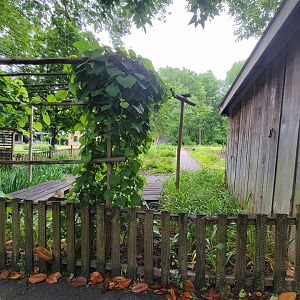 Nashville Zoo 5/22 - Grassmere Plantation gardens