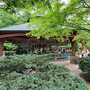 Nashville Zoo 5/22 - Carousel