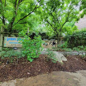 Nashville Zoo 5/22 - Lorikeet Landing