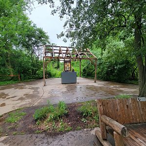 Nashville Zoo 5/22 - White rhino info area, horns to touch