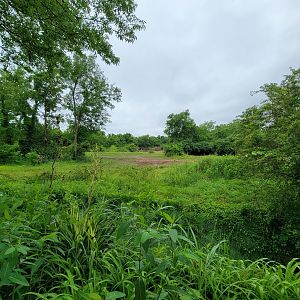 Nashville Zoo 5/22 - Southern white rhinoceros