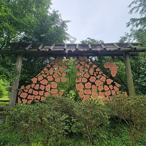 Nashville Zoo 5/22 - Masai giraffes