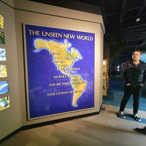 Nashville Zoo 5/22 - Unseen New World, inside entrance