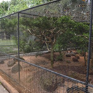 Arid Birds Aviary