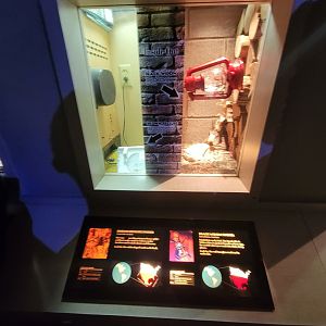 Nashville Zoo 5/22 - Unseen New World, brown recluse / black widow spiders