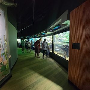 Nashville Zoo 5/22 - Unseen New World, tropical rivers