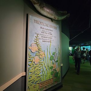 Nashville Zoo 5/22 - Unseen New World, tropical rivers signage