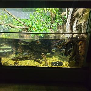 Nashville Zoo 5/22 - Unseen New World, tropical rivers