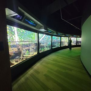 Nashville Zoo 5/22 - Unseen New World, tropical rivers tanks