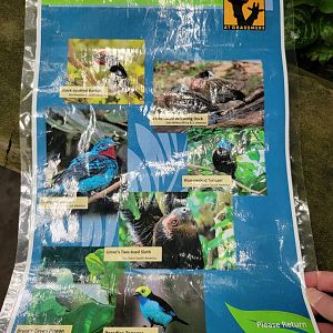 Nashville Zoo 5/22 - Unseen New World, Croft Aviary species