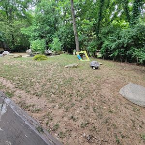 Nashville Zoo 5/22 - Galapagos tortoises