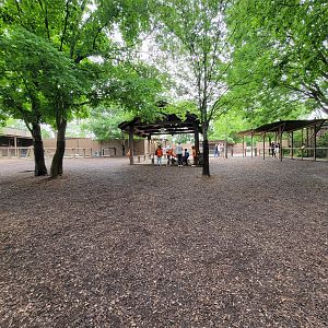 Nashville Zoo 5/22 - Critter Encounters area