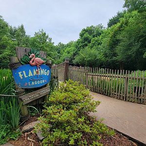 Nashville Zoo 5/22 - Flamingo Lagoon