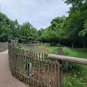 Nashville Zoo 5/22 - Flamingo Lagoon