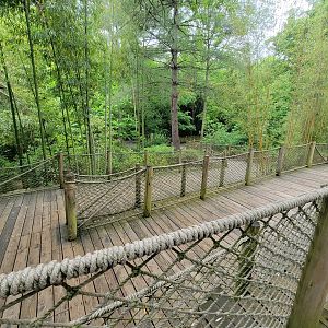 Nashville Zoo 5/22 - Path