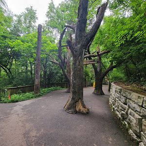 Nashville Zoo 5/22 - Path