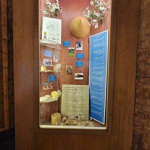 Nashville Zoo 5/22 - Clouded leopard history in zoos / Thailand Clouded Leopard Consortium