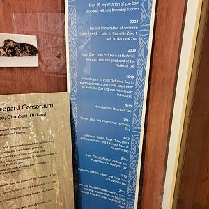Nashville Zoo 5/22 - Thailand Clouded Leopard Consortium timeline