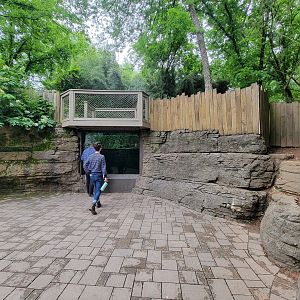Nashville Zoo 5/22 - American alligator