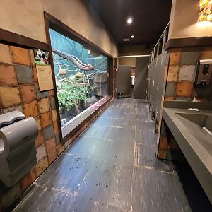 Nashville Zoo 5/22 - Expedition Peru, women's bathroom with cotton-top tamarins