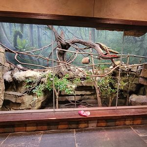 Nashville Zoo 5/22 - Expedition Peru, women's bathroom with cotton-top tamarins