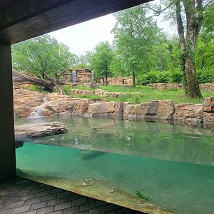 Nashville Zoo 5/22 - Expedition Peru, Andean bear viewing building