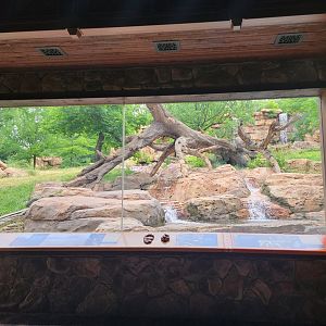 Nashville Zoo 5/22 - Expedition Peru, Andean bear viewing building