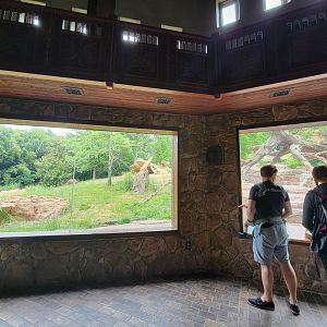 Nashville Zoo 5/22 - Expedition Peru, Andean bear viewing building
