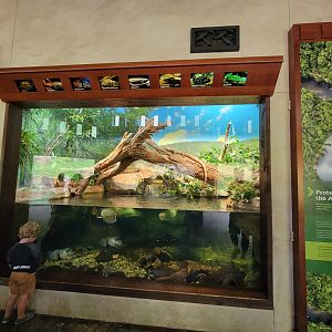 Nashville Zoo 5/22 - Expedition Peru, Andean bear viewing building, Amazon exhibit