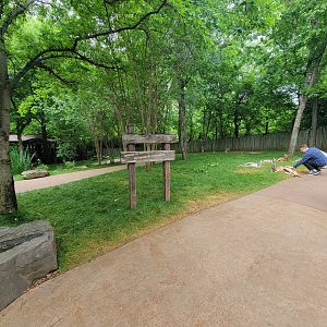Nashville Zoo 5/22 - Red kangaroo walkthrough