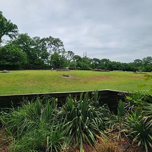 Nashville Zoo 5/22 - Common eland, plains zebra, bontebok, ostrich