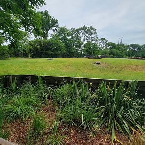 Nashville Zoo 5/22 - Common eland, plains zebra, bontebok, ostrich